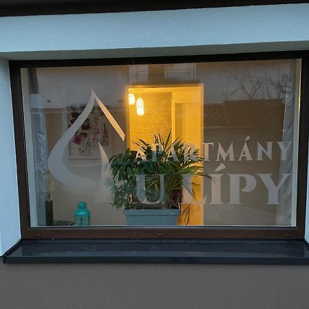Apartmany U Lipy Tatobity Bagian luar foto