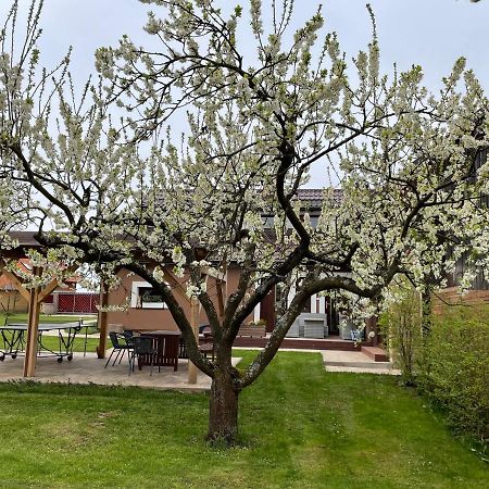 Apartmany U Lipy Tatobity Bagian luar foto