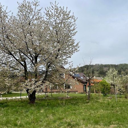 Apartmany U Lipy Tatobity Bagian luar foto