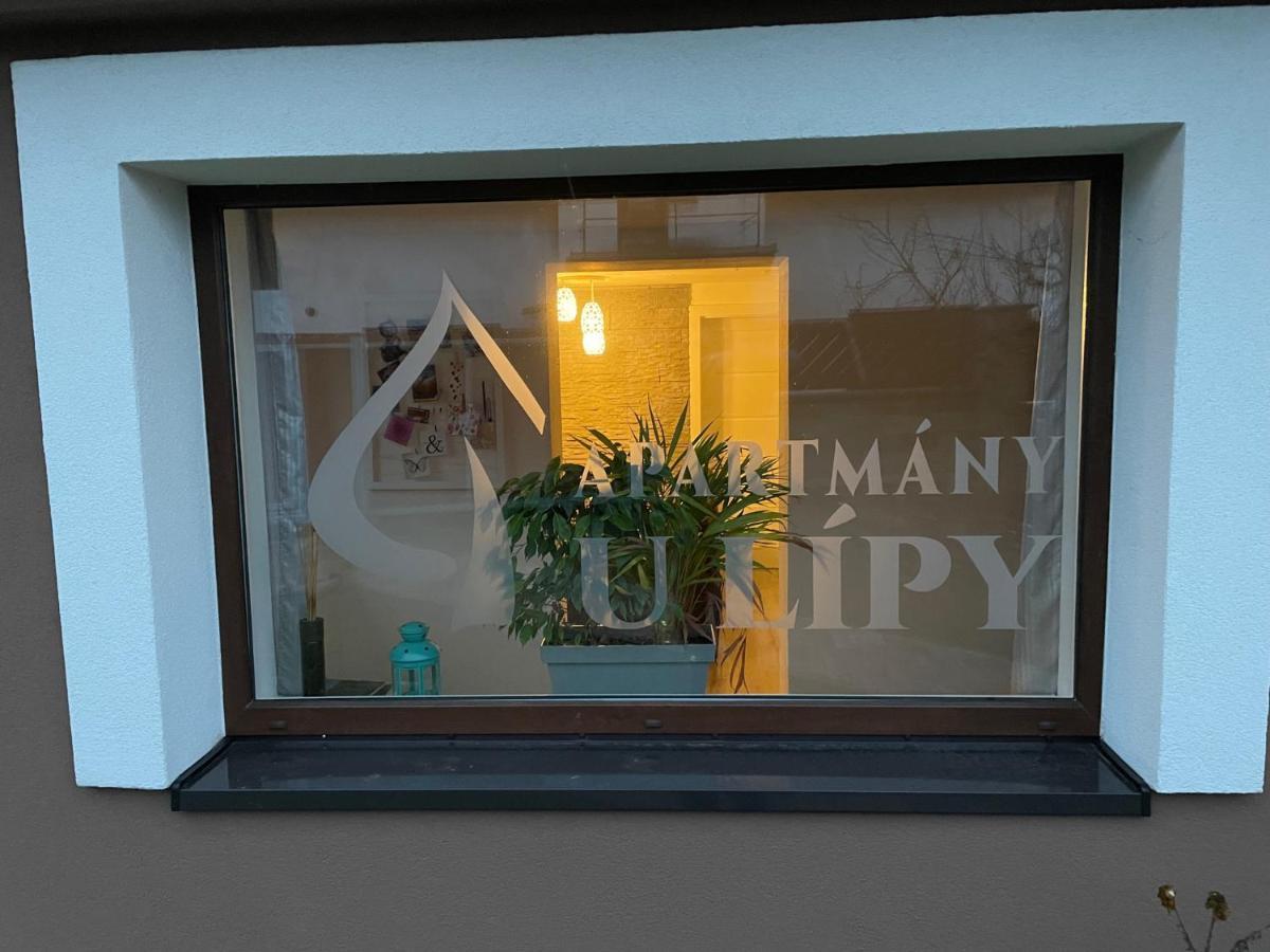 Apartmany U Lipy Tatobity Bagian luar foto