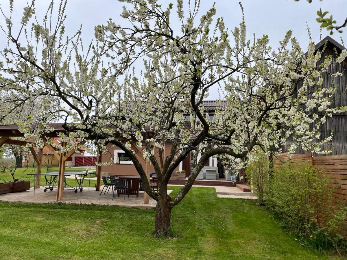 Apartmany U Lipy Tatobity Bagian luar foto