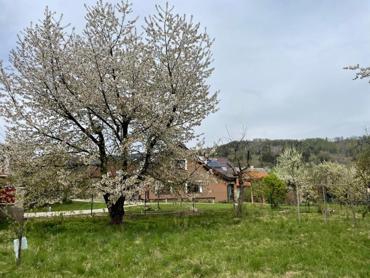Apartmany U Lipy Tatobity Bagian luar foto